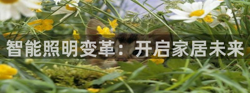 云顶国际商业广场 停车费怎么收