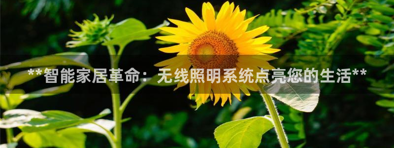 云顶国际app手机版下载