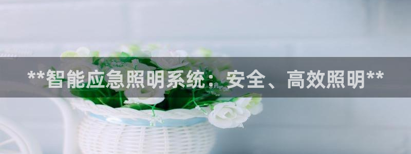 云顶国际培训中心地址