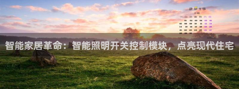 云顶国际是做什么的公司