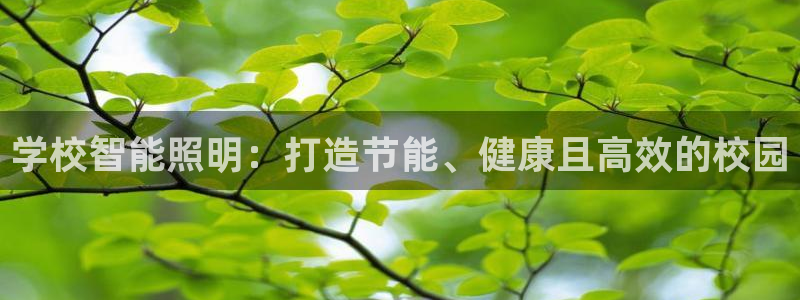 云顶国际是什么公司