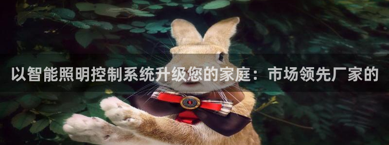 云顶国际服s6