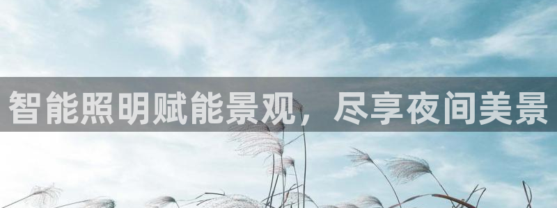 云顶国际平台游戏可靠吗安全吗