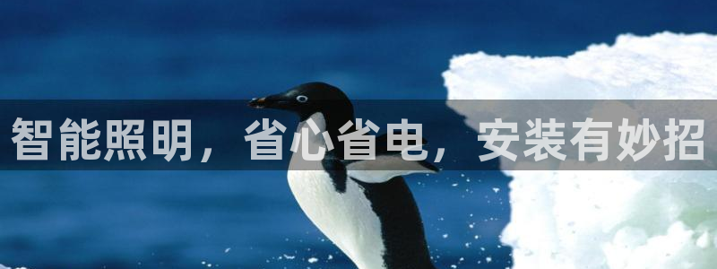 云顶国际大酒店招聘信息