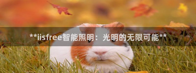 云顶国际威尼斯