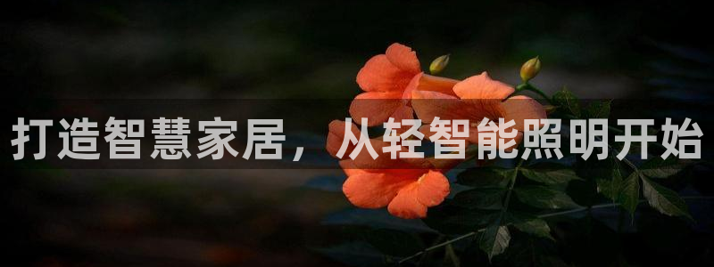 云顶集团gentinggroup