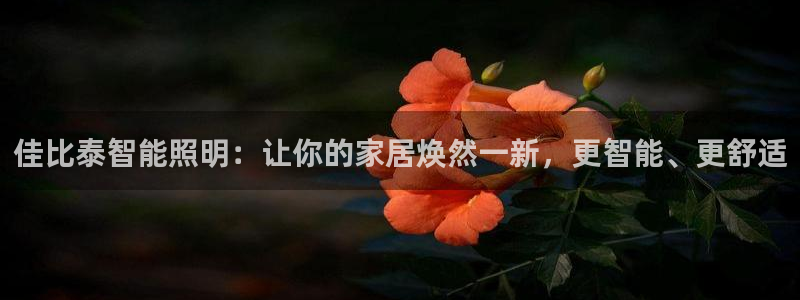 云顶国际服官网