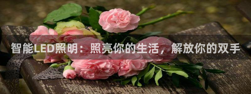 云顶集团董事长林东