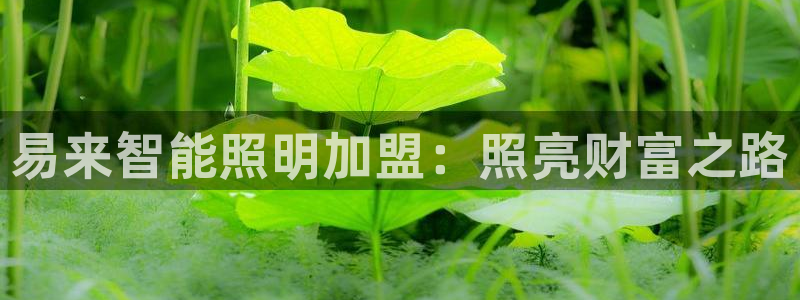 云顶国际服怎么换服务器