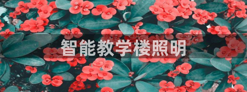 云顶国际是黑台吗还是彩台