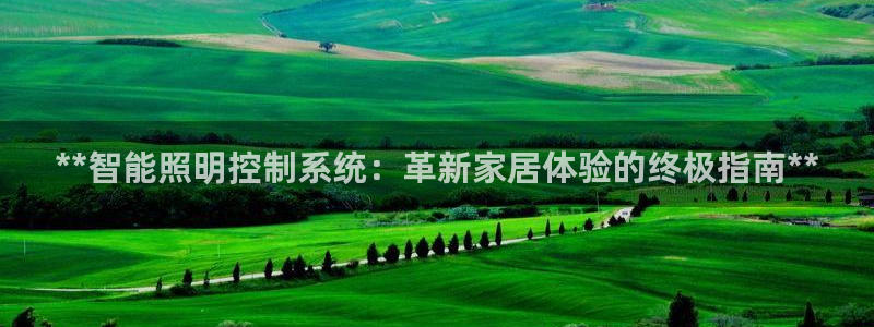 云顶国际公馆户型图