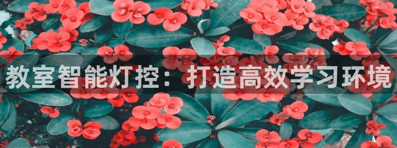 2322云顶
