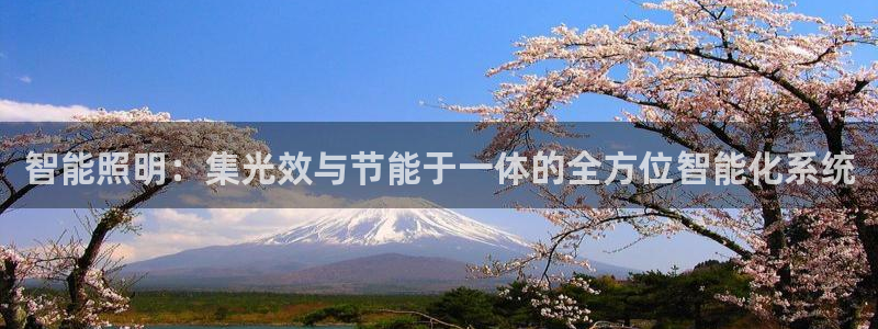 云顶国际俱乐部是干嘛的