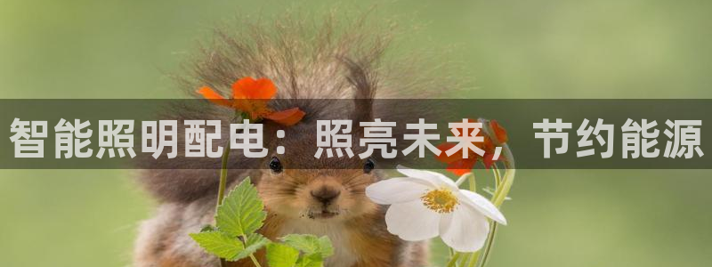 云顶集团网投领