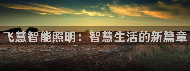 云顶集团中国区总裁