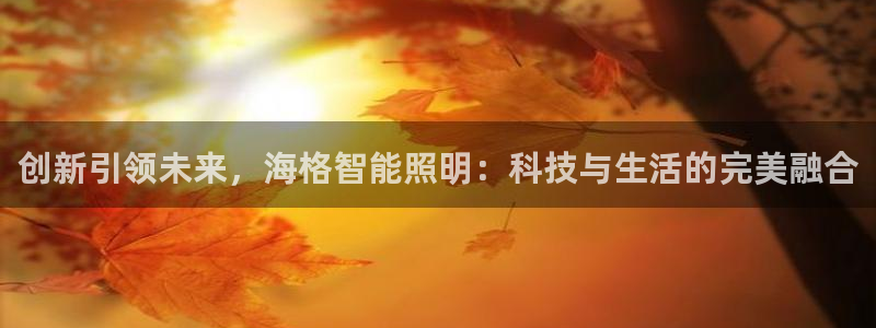云顶国际缆车起点在哪里啊多少钱