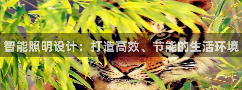 云顶国际服怎么换服务器