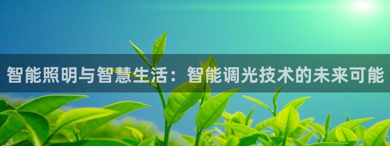 云顶国际停车费多少