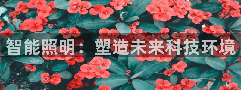 云顶国际公馆是公寓吗