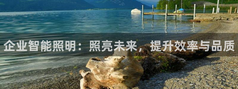 云顶国际体育官方网站下载