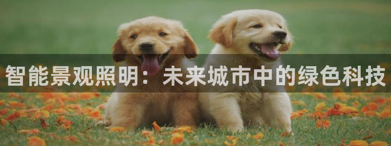 云顶国际高中学费多少