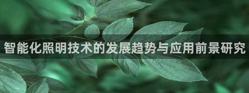 云顶国际app是什么