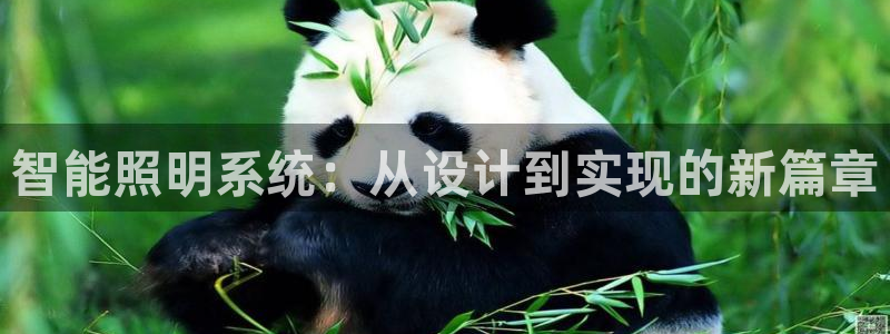 云顶国际服和端游互通吗：智能照明系统：从