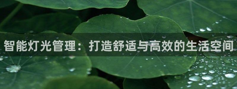 云顶国际广场A座
