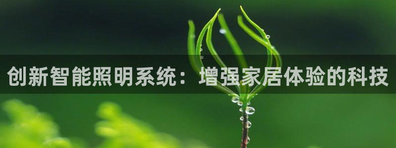 云顶s6国际服