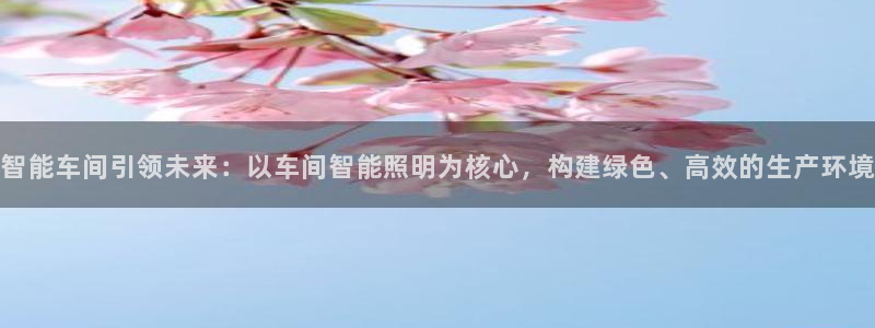 云顶国际商业广场可以充电动车吗