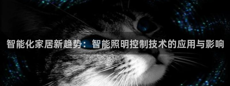 云顶国际商业广场A座101