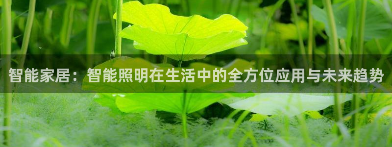 云顶国际黄钊华