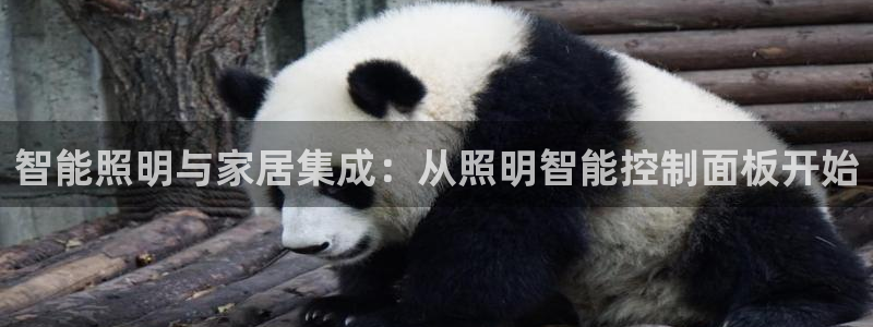 云顶国际app免费下载安卓