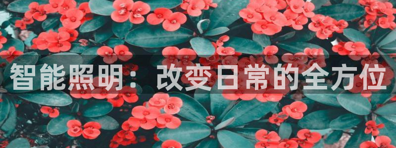云顶国际提款不到账怎么办