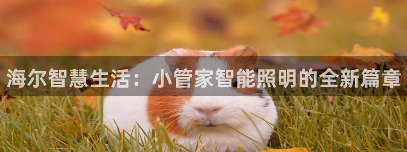云顶游戏网站