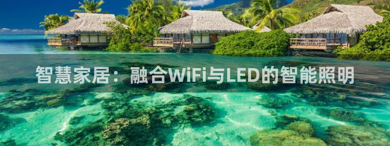 云顶国际区块链怎么样