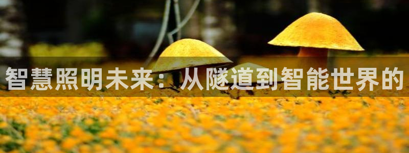 2322云顶国际手机版